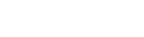 bolon