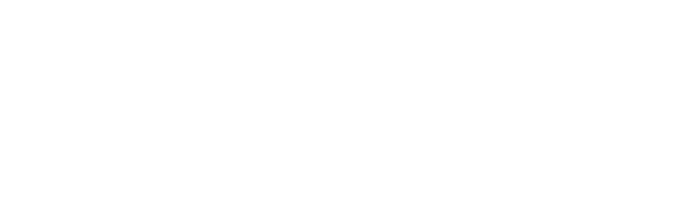 gardisette