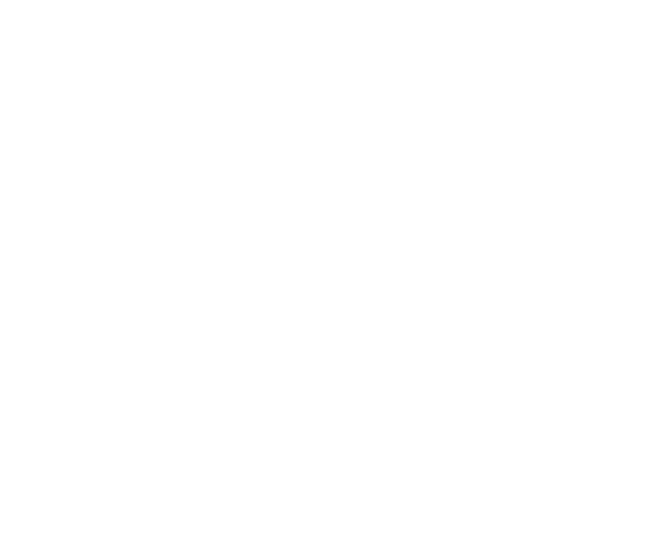nuncas